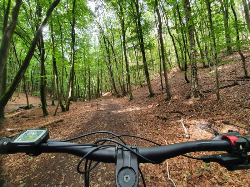 Die Waldwege eignen sich auch für Mountainbike Fahrer